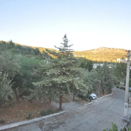 Olive Tree Semesterbostad Bodrum