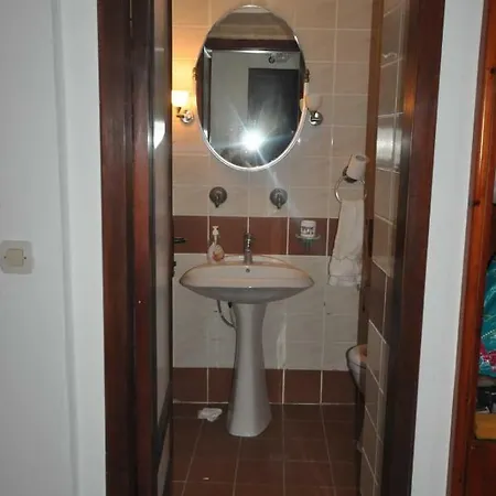Olive Tree *